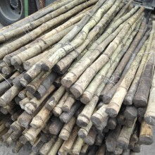 臨安康藝竹木制品廠 匠心打造綠色生活的竹木精品